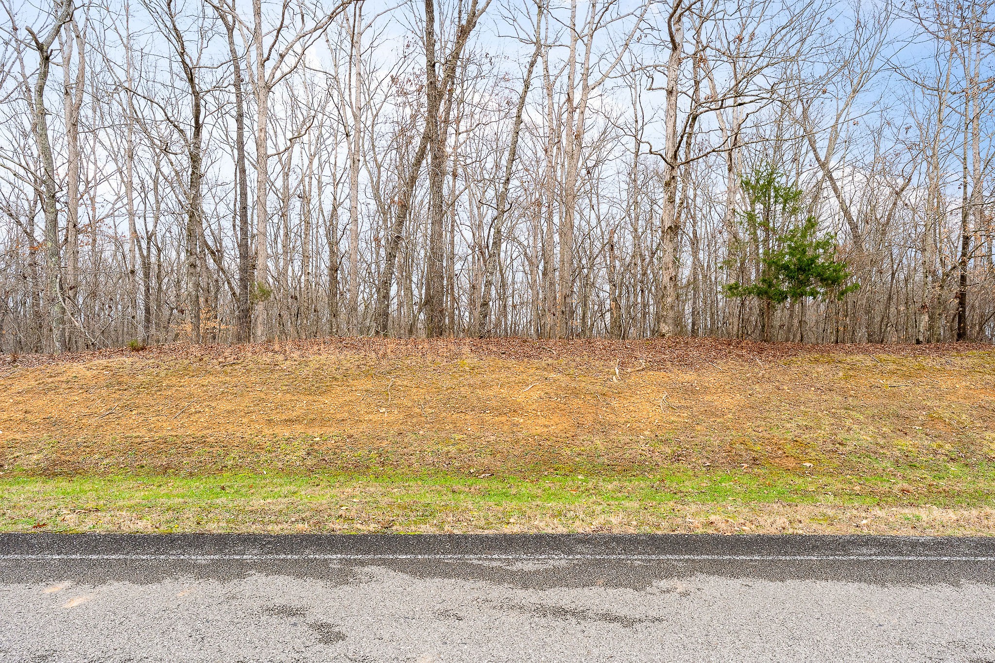 0 Riverwatch Trace Sparta TN 38583