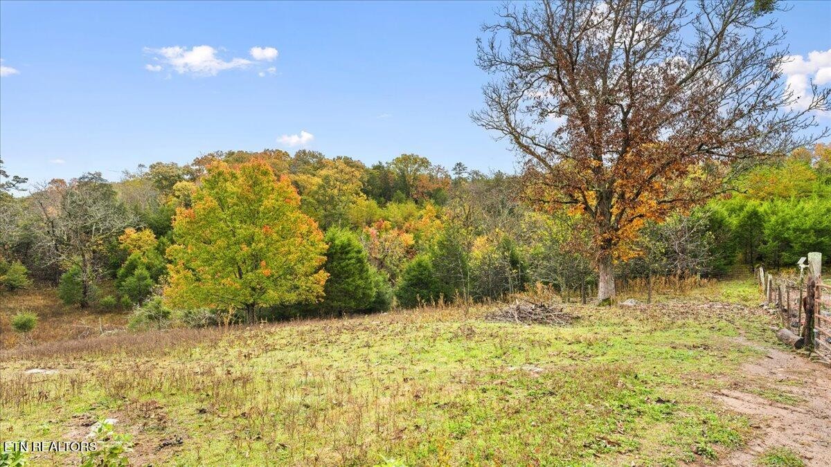 10528 Thorngrove Pike Strawberry Plains TN 37871
