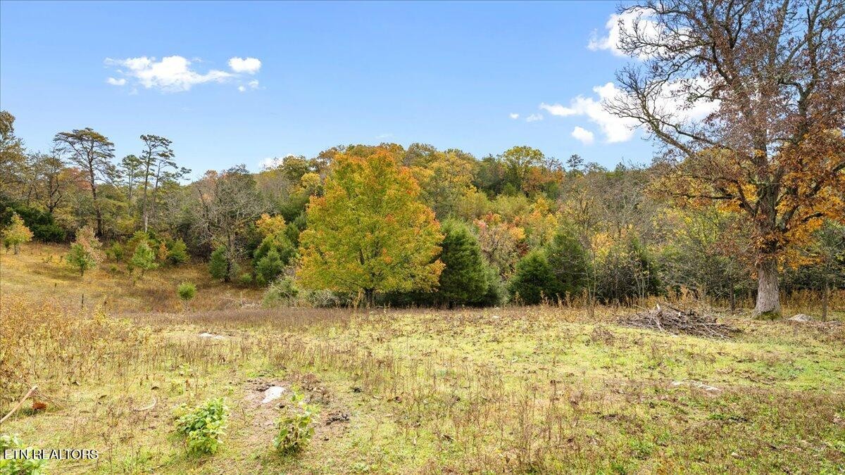 10528 Thorngrove Pike Strawberry Plains TN 37871
