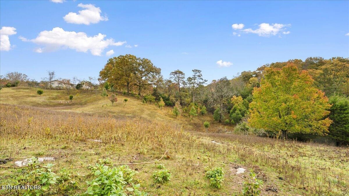 10528 Thorngrove Pike Strawberry Plains TN 37871