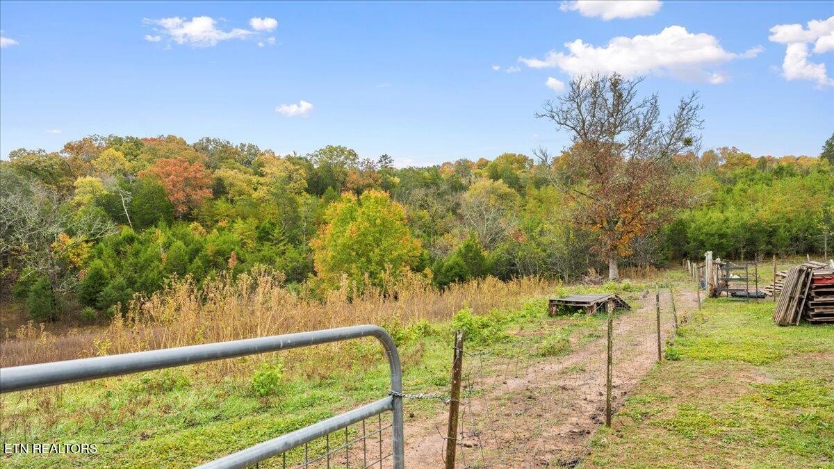10528 Thorngrove Pike Strawberry Plains TN 37871