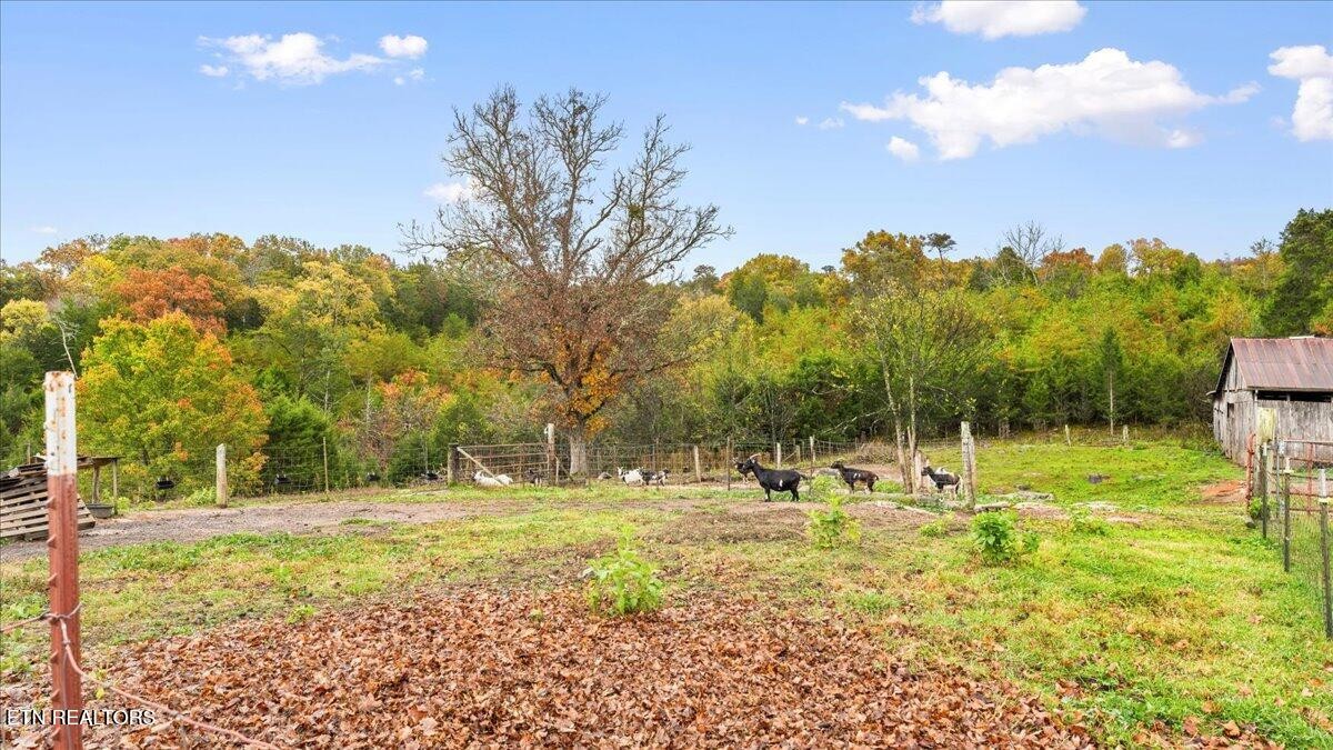 10528 Thorngrove Pike Strawberry Plains TN 37871