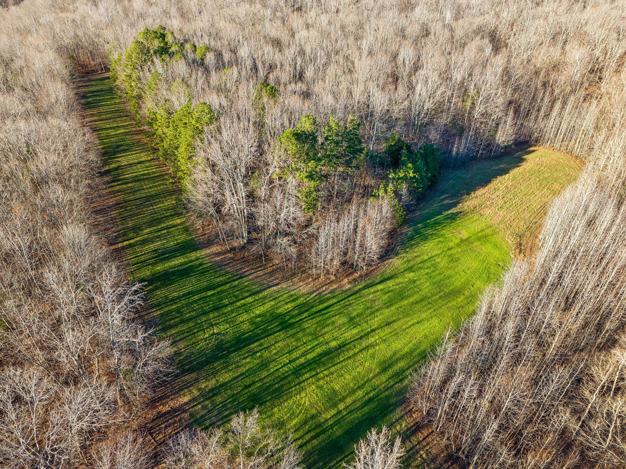 3819 Old Highway 13 Cumberland City TN 37050