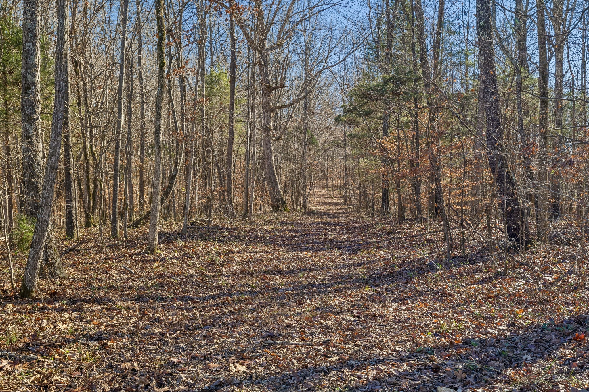 3819 Old Highway 13 Cumberland City TN 37050