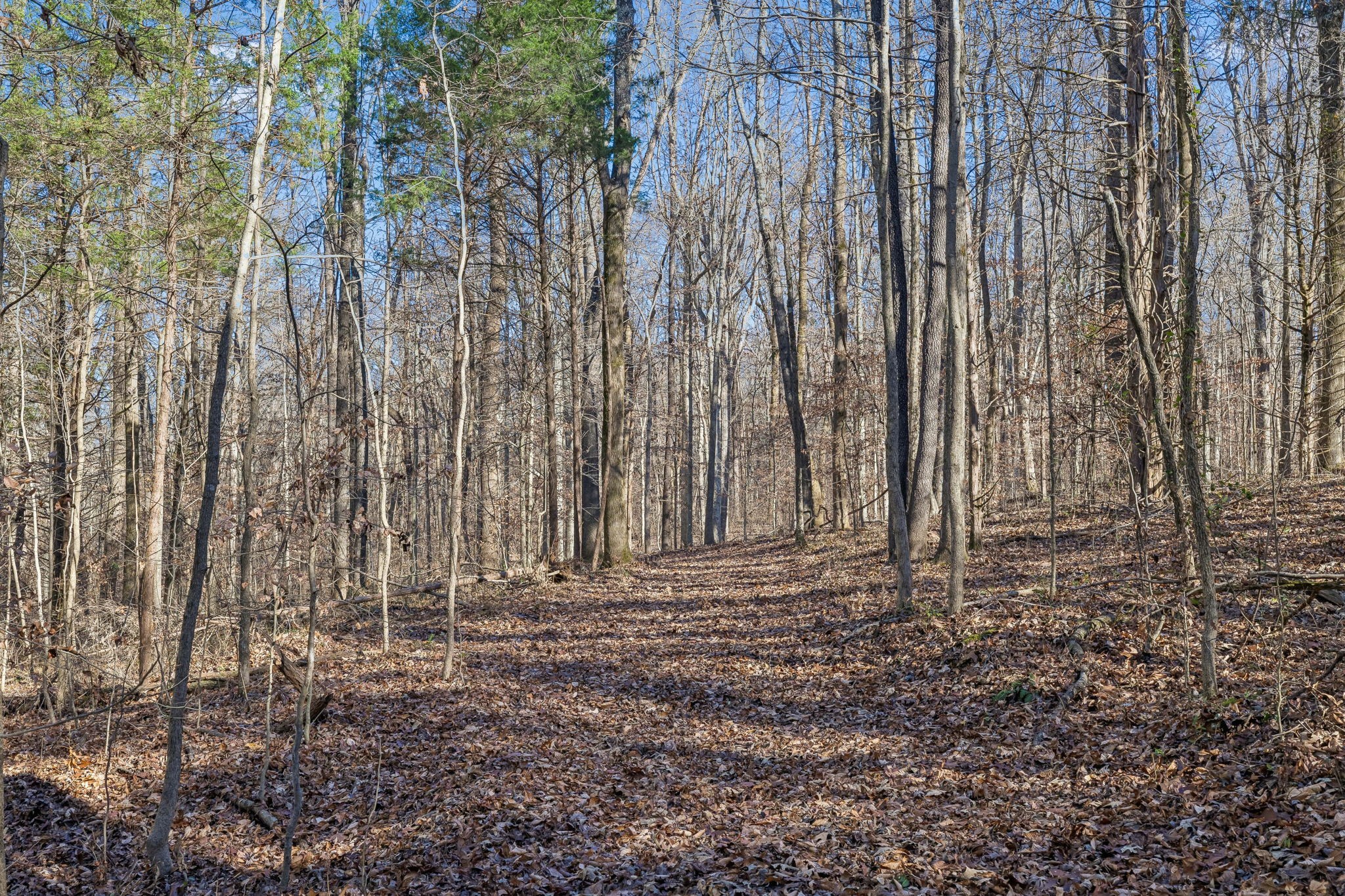 3819 Old Highway 13 Cumberland City TN 37050