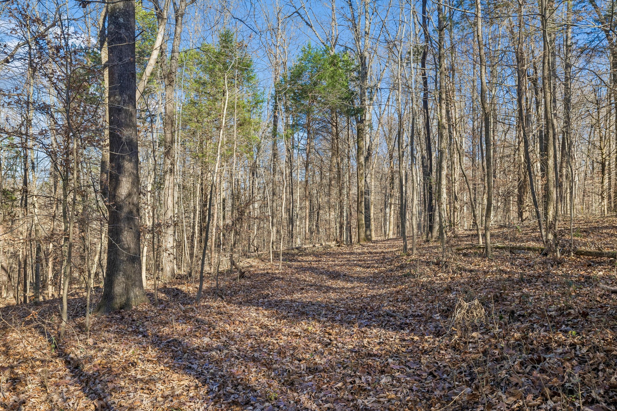 3819 Old Highway 13 Cumberland City TN 37050