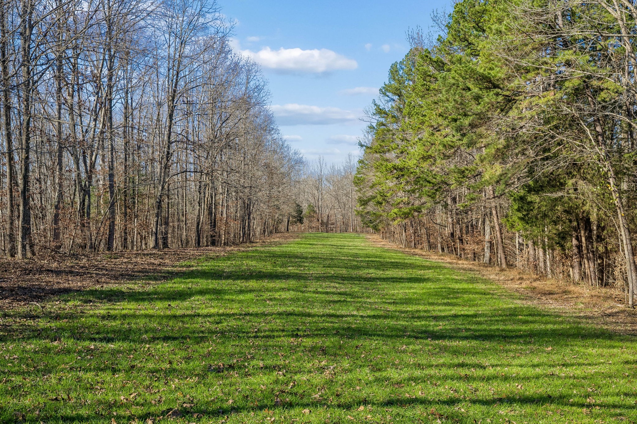 3819 Old Highway 13 Cumberland City TN 37050