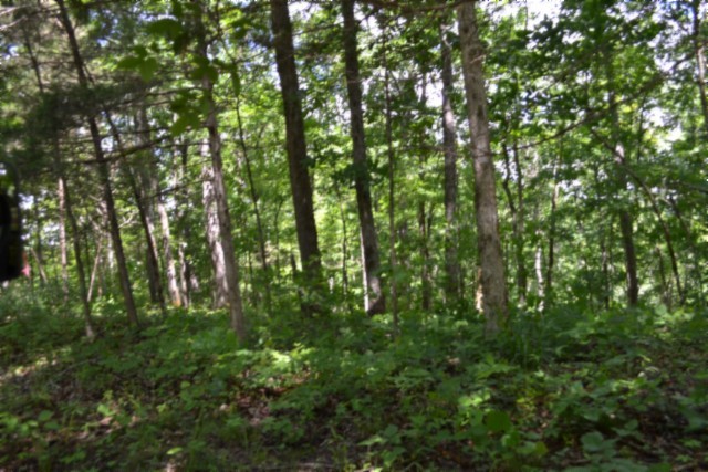 0 Beauchamp Road Burkesville KY 42717