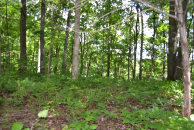 0 Beauchamp Road Burkesville KY 42717