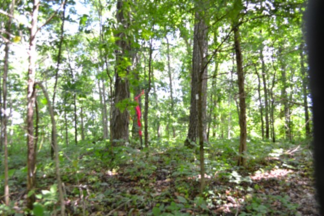0 Beauchamp Road Burkesville KY 42717