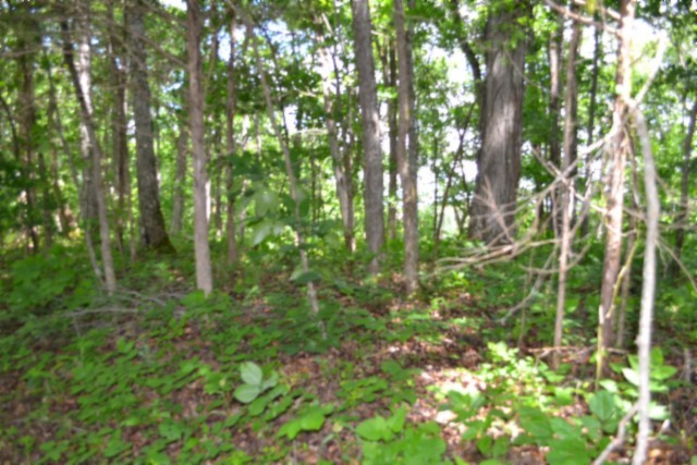 0 Beauchamp Road Burkesville KY 42717