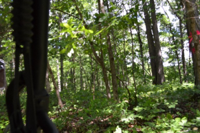 0 Beauchamp Road Burkesville KY 42717
