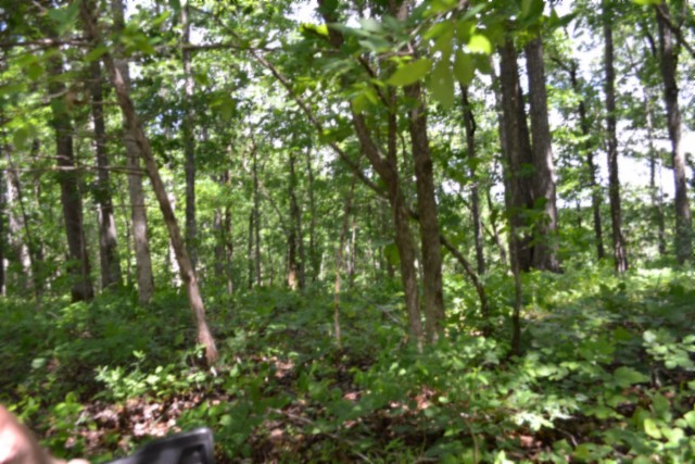 0 Beauchamp Road Burkesville KY 42717