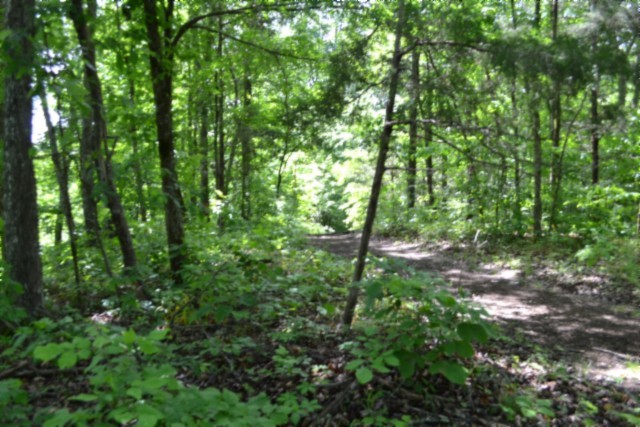 0 Beauchamp Road Burkesville KY 42717