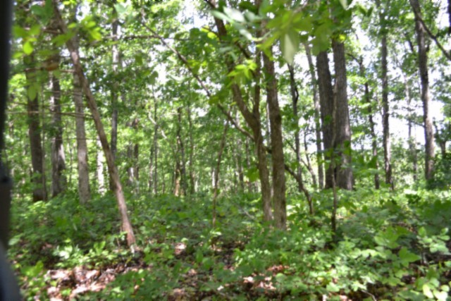 0 Beauchamp Road Burkesville KY 42717
