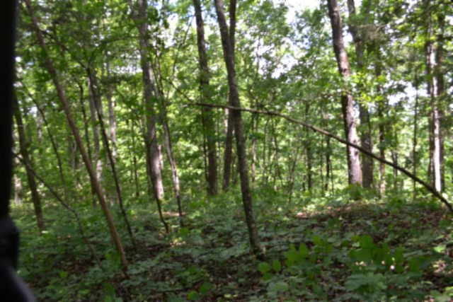 0 Beauchamp Road Burkesville KY 42717