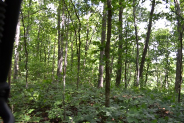 0 Beauchamp Road Burkesville KY 42717