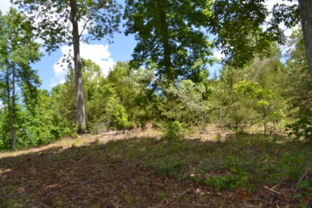 0 Beauchamp Road Burkesville KY 42717