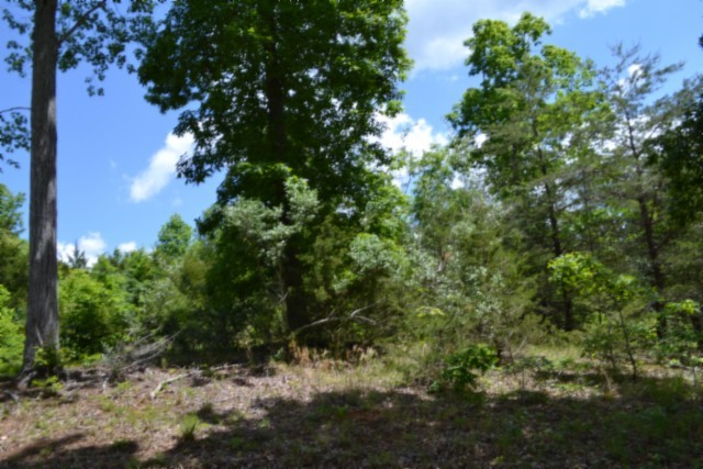 0 Beauchamp Road Burkesville KY 42717