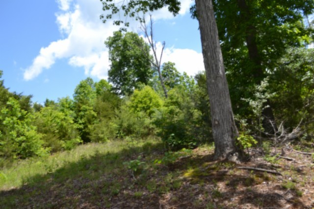 0 Beauchamp Road Burkesville KY 42717