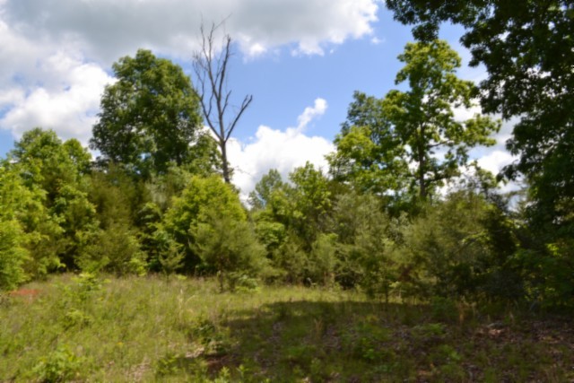 0 Beauchamp Road Burkesville KY 42717