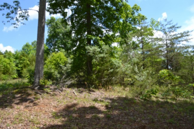 0 Beauchamp Road Burkesville KY 42717
