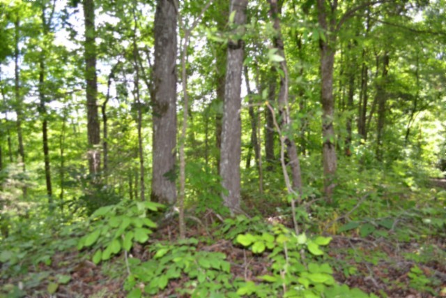 0 Beauchamp Road Burkesville KY 42717