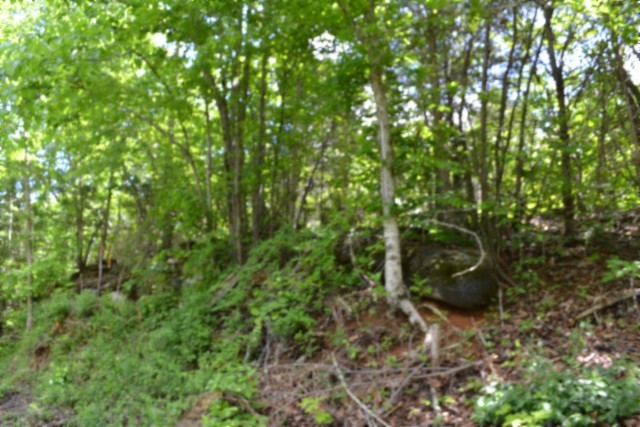 0 Beauchamp Road Burkesville KY 42717