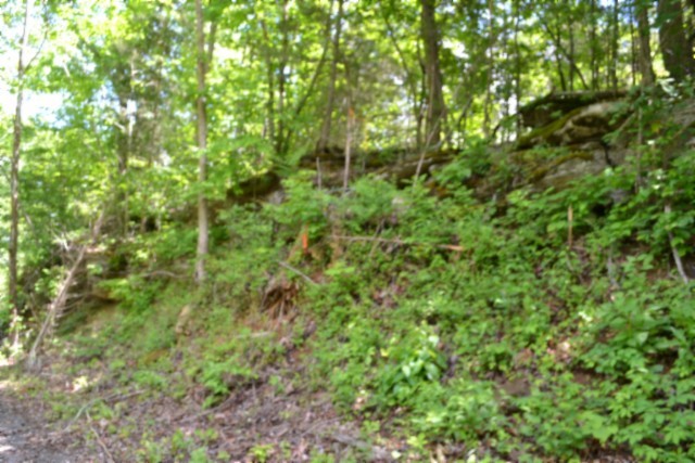 0 Beauchamp Road Burkesville KY 42717