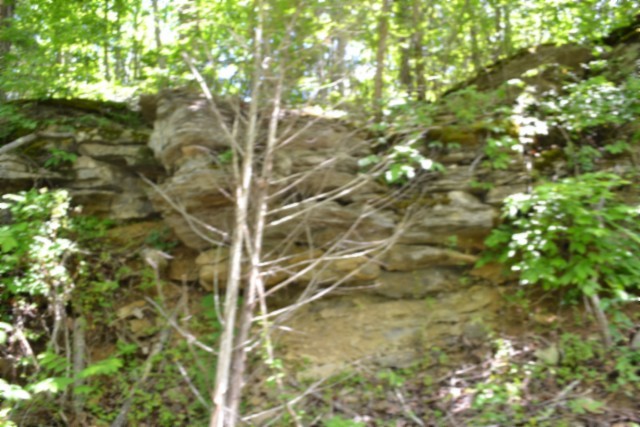 0 Beauchamp Road Burkesville KY 42717