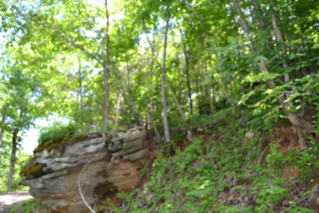 0 Beauchamp Road Burkesville KY 42717