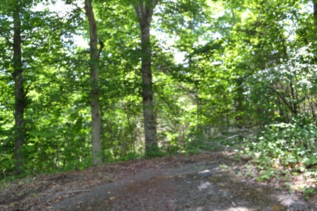 0 Beauchamp Road Burkesville KY 42717