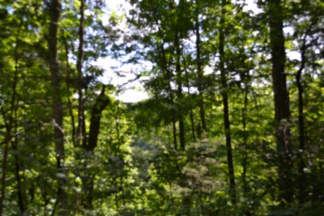 0 Beauchamp Road Burkesville KY 42717