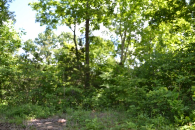 0 Beauchamp Road Burkesville KY 42717