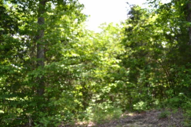 0 Beauchamp Road Burkesville KY 42717