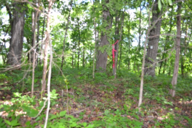 0 Beauchamp Road Burkesville KY 42717