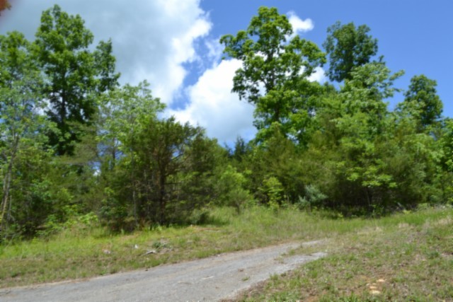 0 Beauchamp Road Burkesville KY 42717