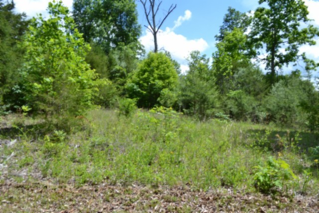 0 Beauchamp Road Burkesville KY 42717