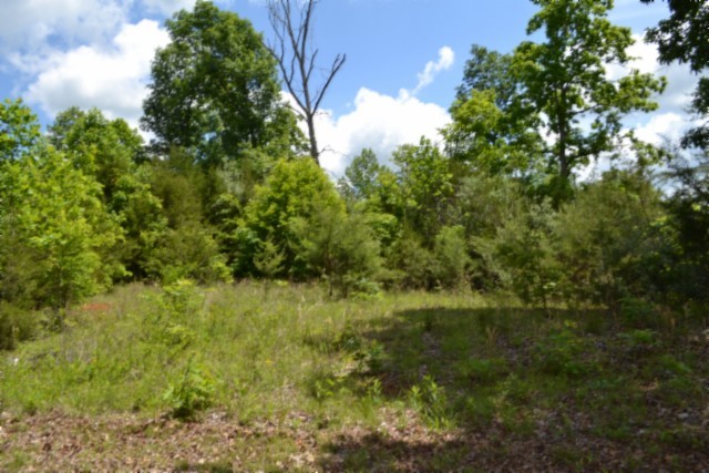 0 Beauchamp Road Burkesville KY 42717