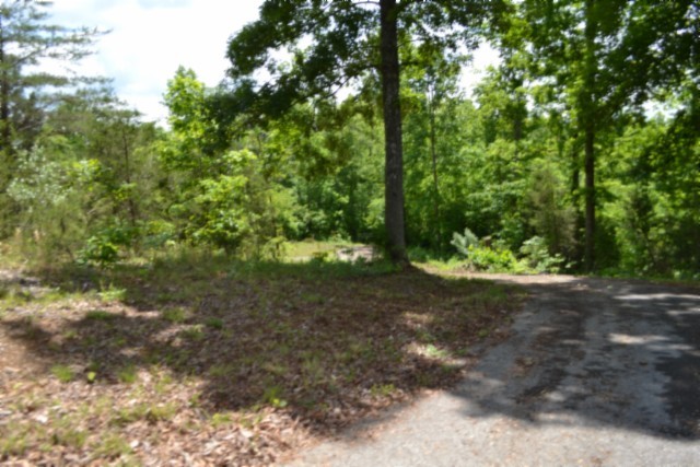 0 Beauchamp Road Burkesville KY 42717