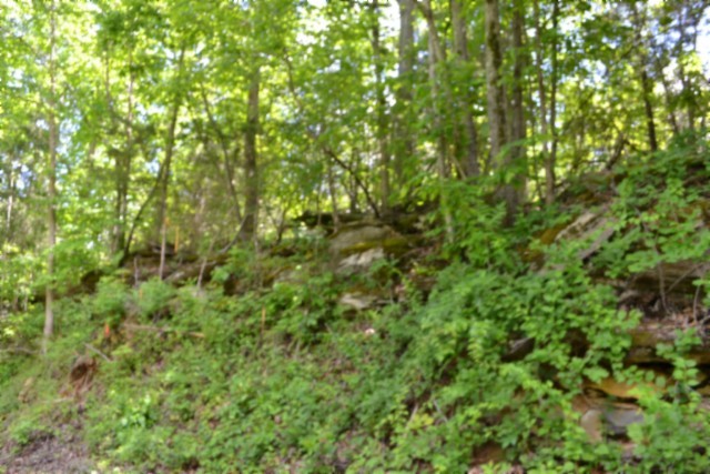 0 Beauchamp Road Burkesville KY 42717