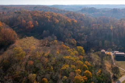 3885 Delina Road Cornersville TN 37047