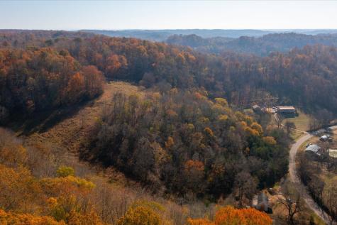 3885 Delina Road Cornersville TN 37047