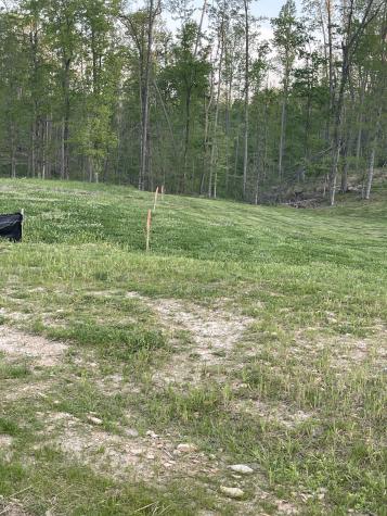3 Peninsula Edge Drive Smithville TN 37166