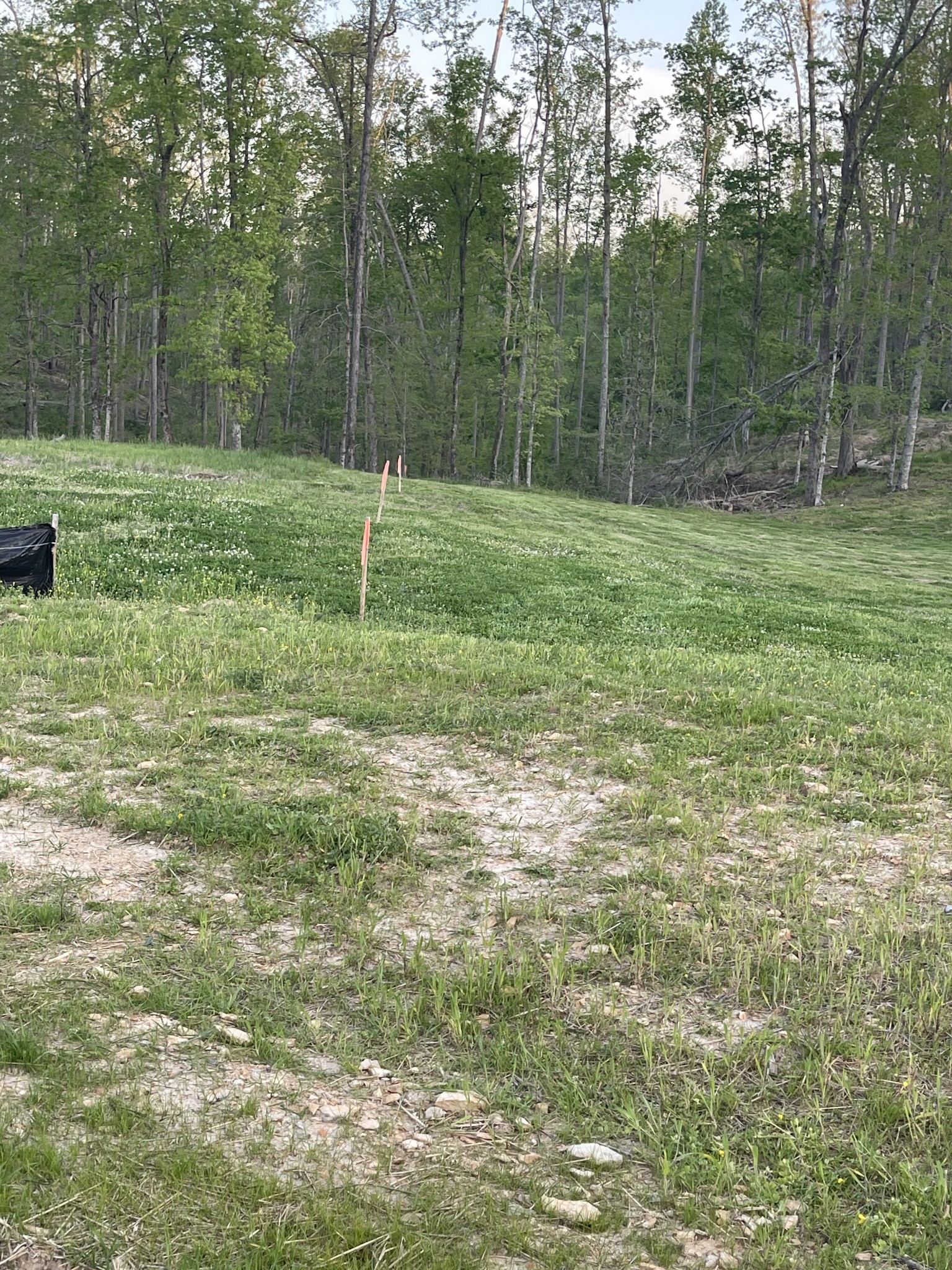 3 Peninsula Edge Drive Smithville TN 37166