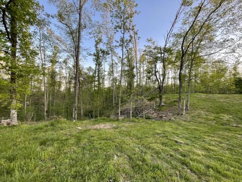 3 Peninsula Edge Drive Smithville TN 37166
