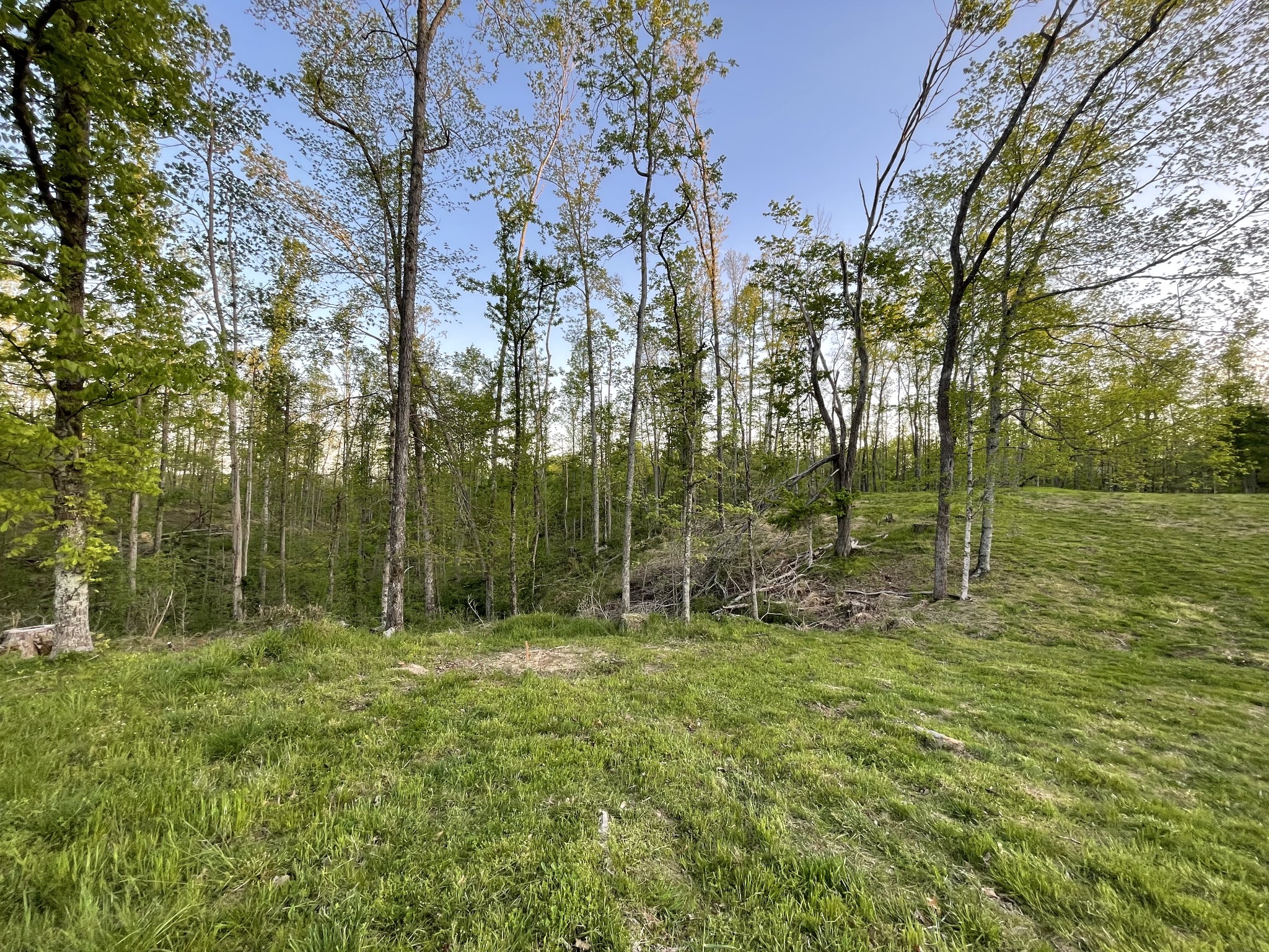 3 Peninsula Edge Drive Smithville TN 37166