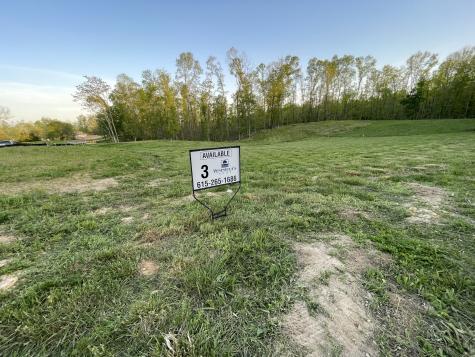 3 Peninsula Edge Drive Smithville TN 37166