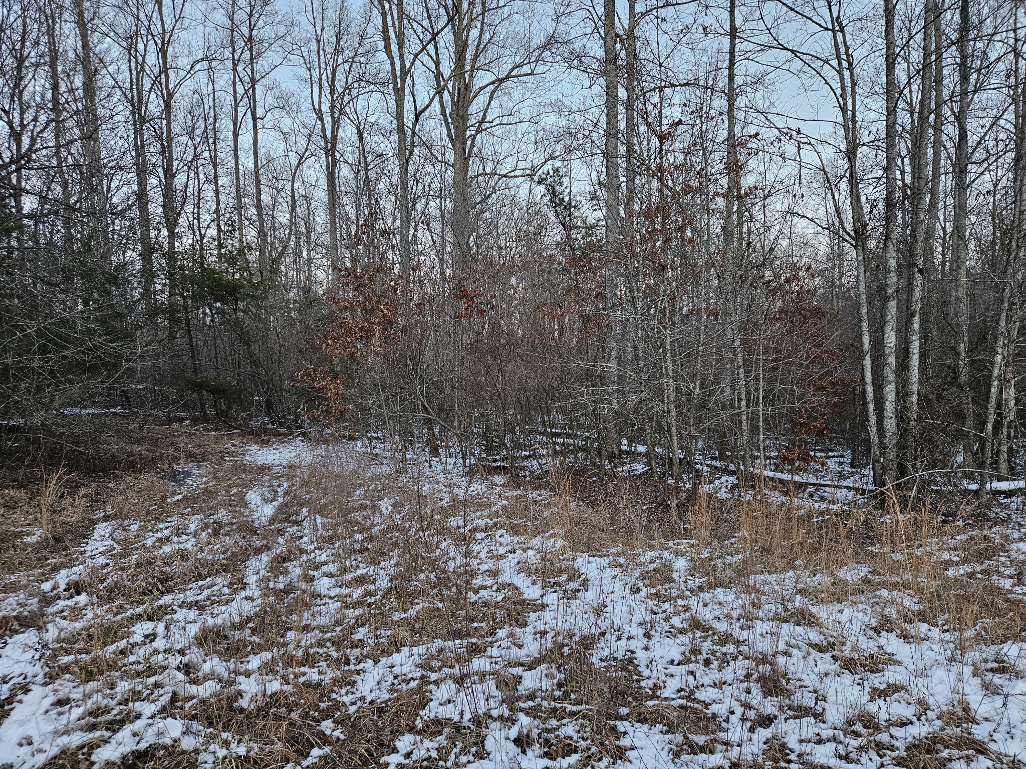 1234 Rodgers Road Crossville TN 38572