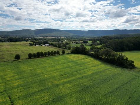 0 Holders Cove Road Winchester TN 37398